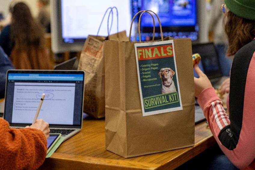 Paper bags labelled "Finals by Alden Survival Kit" sit on a table next to two students