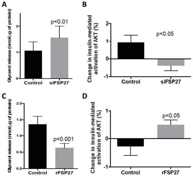 Graphical display of results showing recombinant FSP27 improves insulin signaling in human visceral adipose