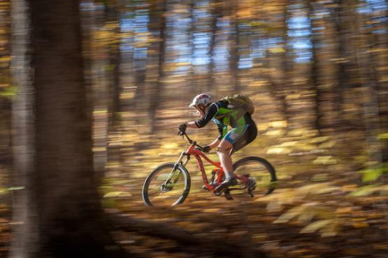 A man rides a bicycle through the Wayne National Forest