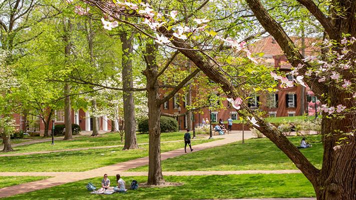 A view of College Green in the spring.