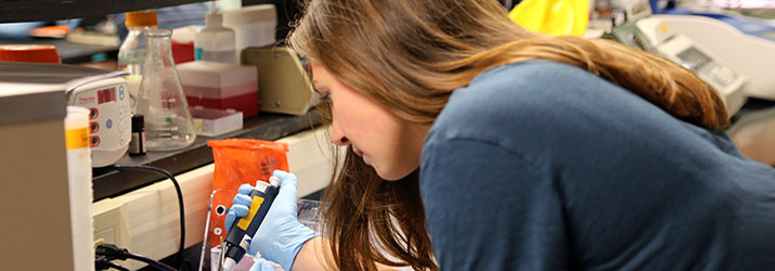 Hayley Herock does undergraduate research in the lab.