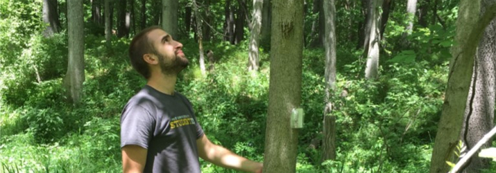 Image of Jeremy Held taking ash tree samples.