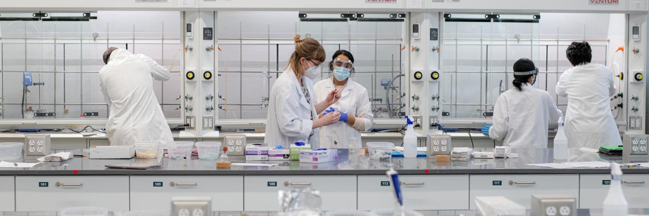 Students in the new undergraduate chemistry lab