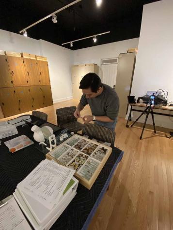 Jorge Castillo displays various insect specimens.