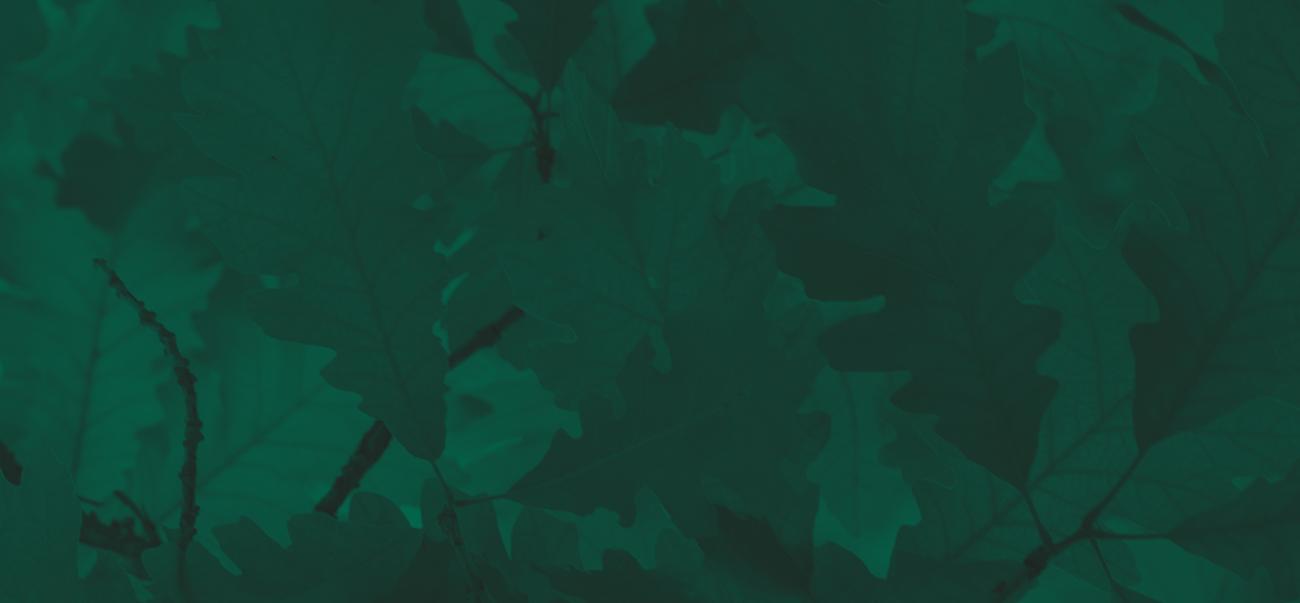 Green background texture with leaves