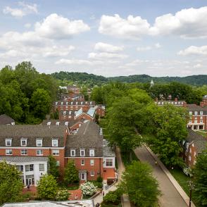 Image of west green, taken from above
