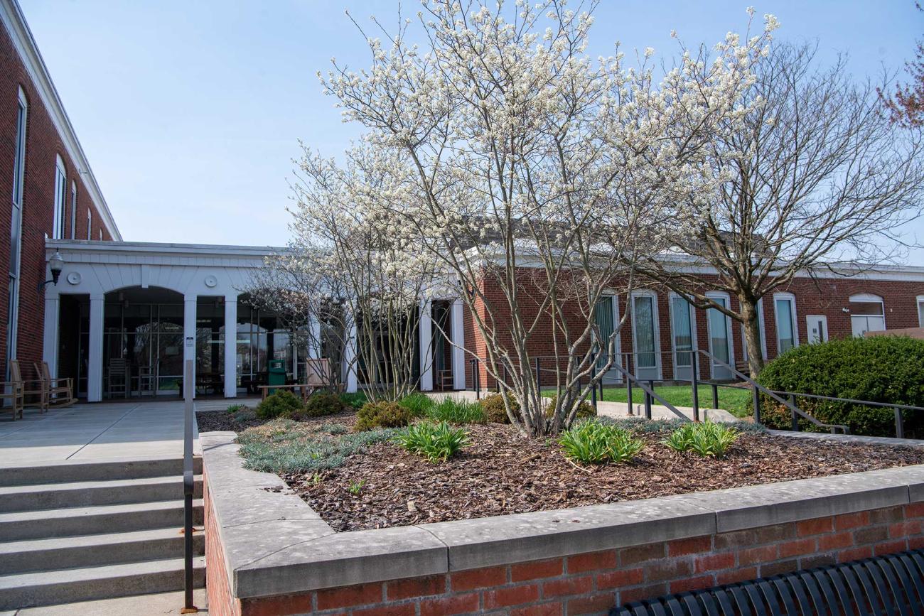 picture of the outside of a zanesville campus brick building with a flowering tree in front