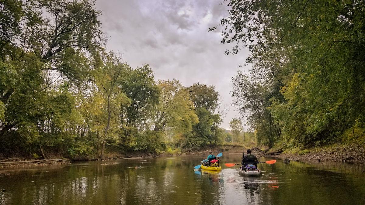 Two people kayaking on waterway surrounded by trees