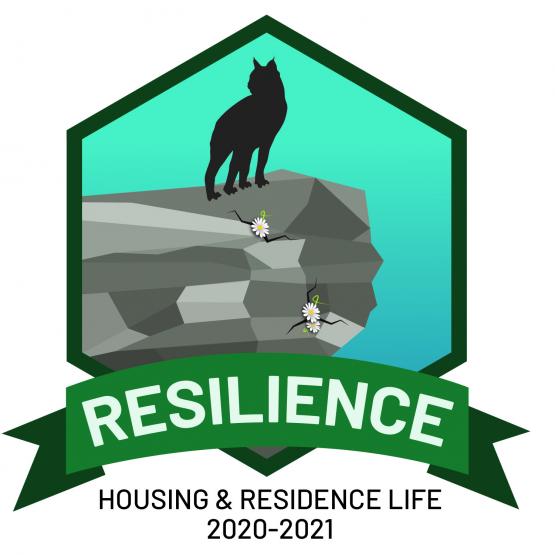 Resilience Theme