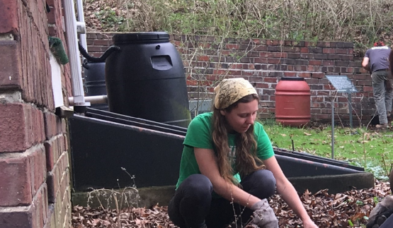 Ecohouse rain barrels