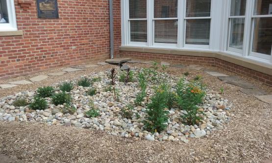 Child Development Center rain garden