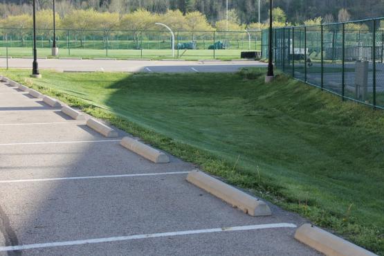 Walter Fieldhouse bioretention basin