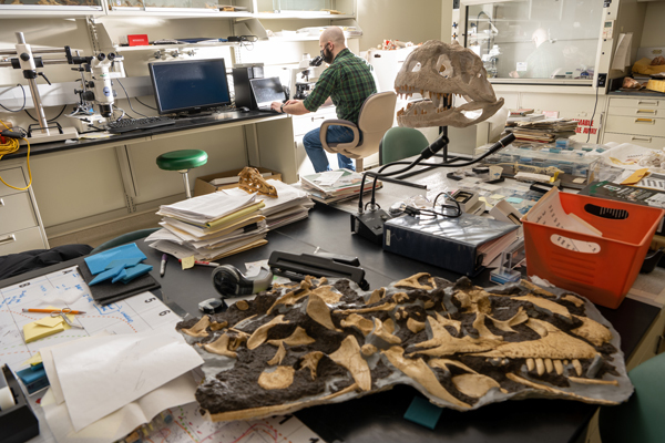 Riley Sombathy is shown in the lab with Allosaurus samples