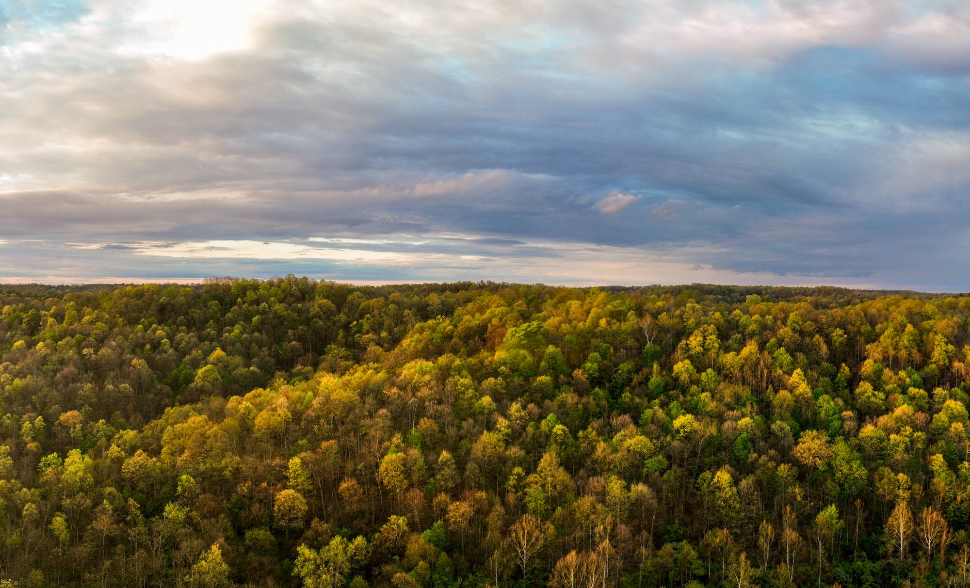 Early spring colors paint the hills surrounding Athens.