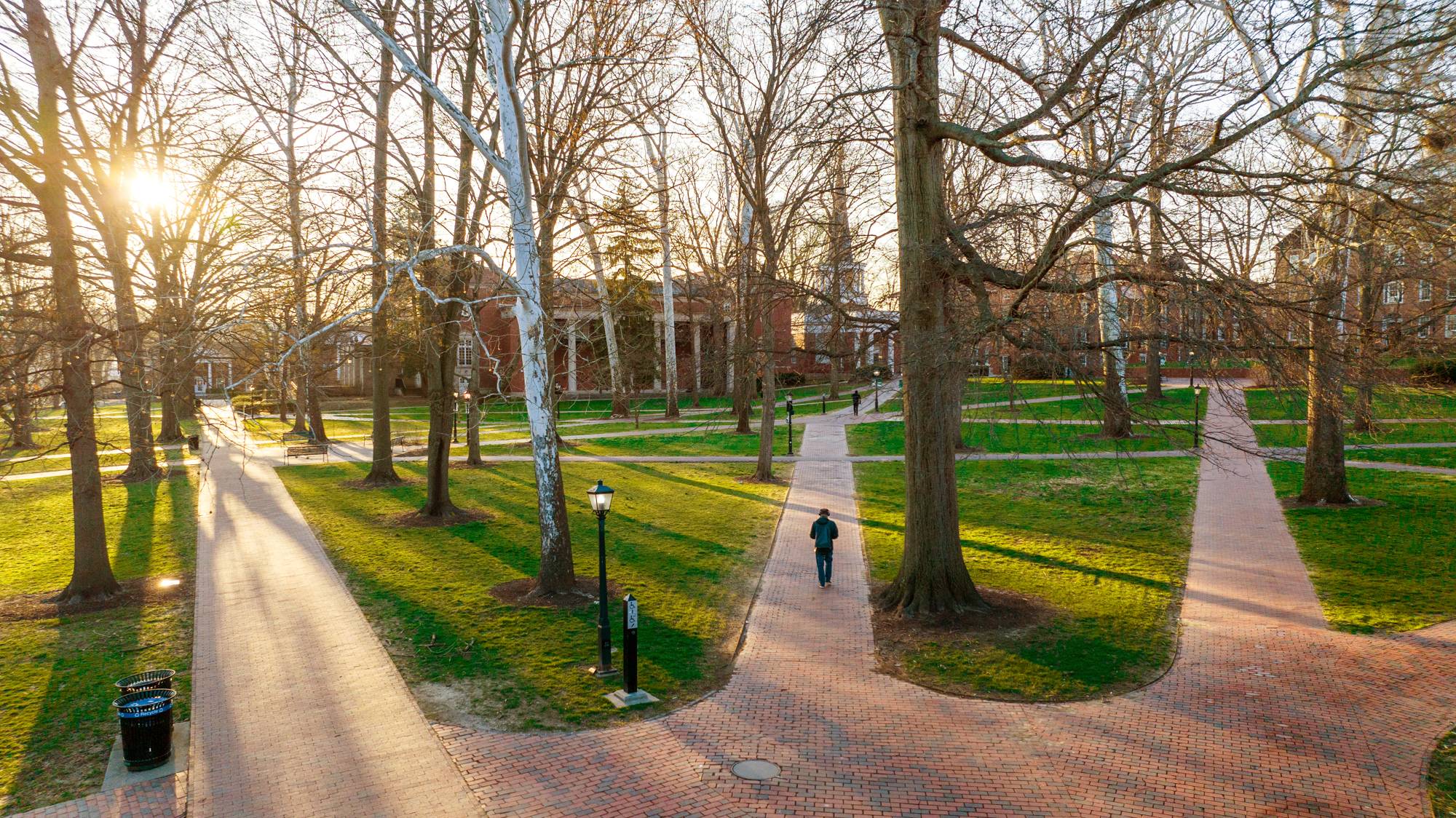 Bare branches line College Green as spring begins at Ohio University.