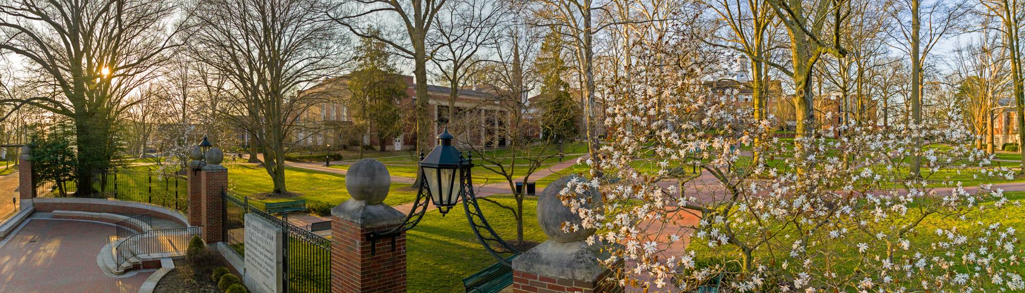 The sun rises on a blooming College Green.