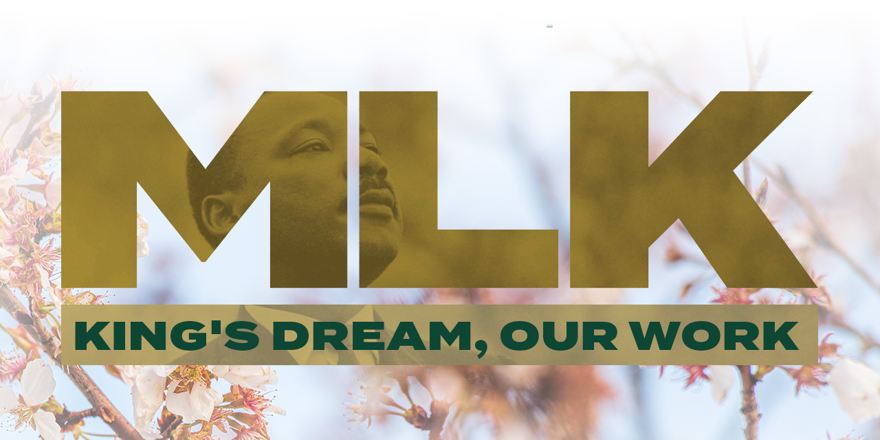 MLK: King's Dream, Our Work