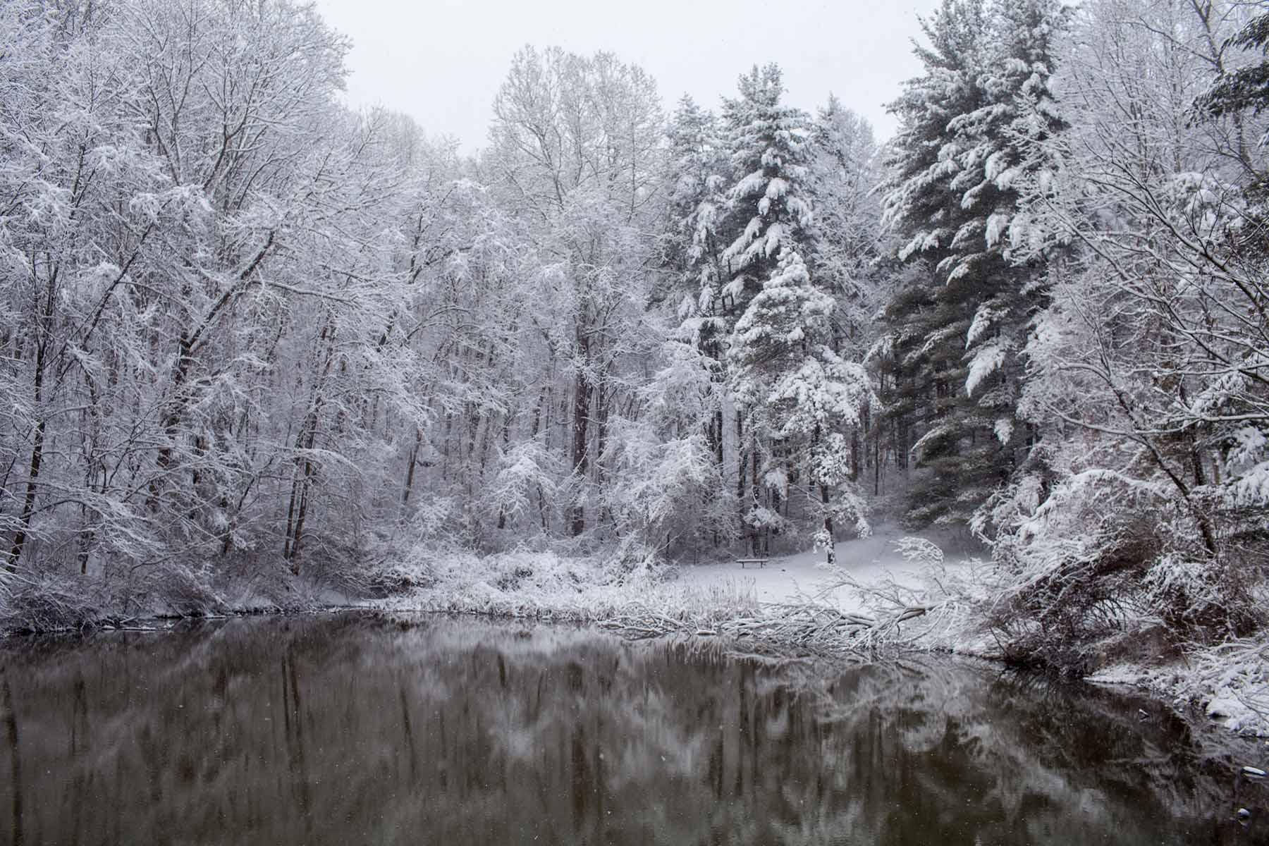 Photographs of Avon Lake, a pond located in Sell's Park in Athens, Ohio