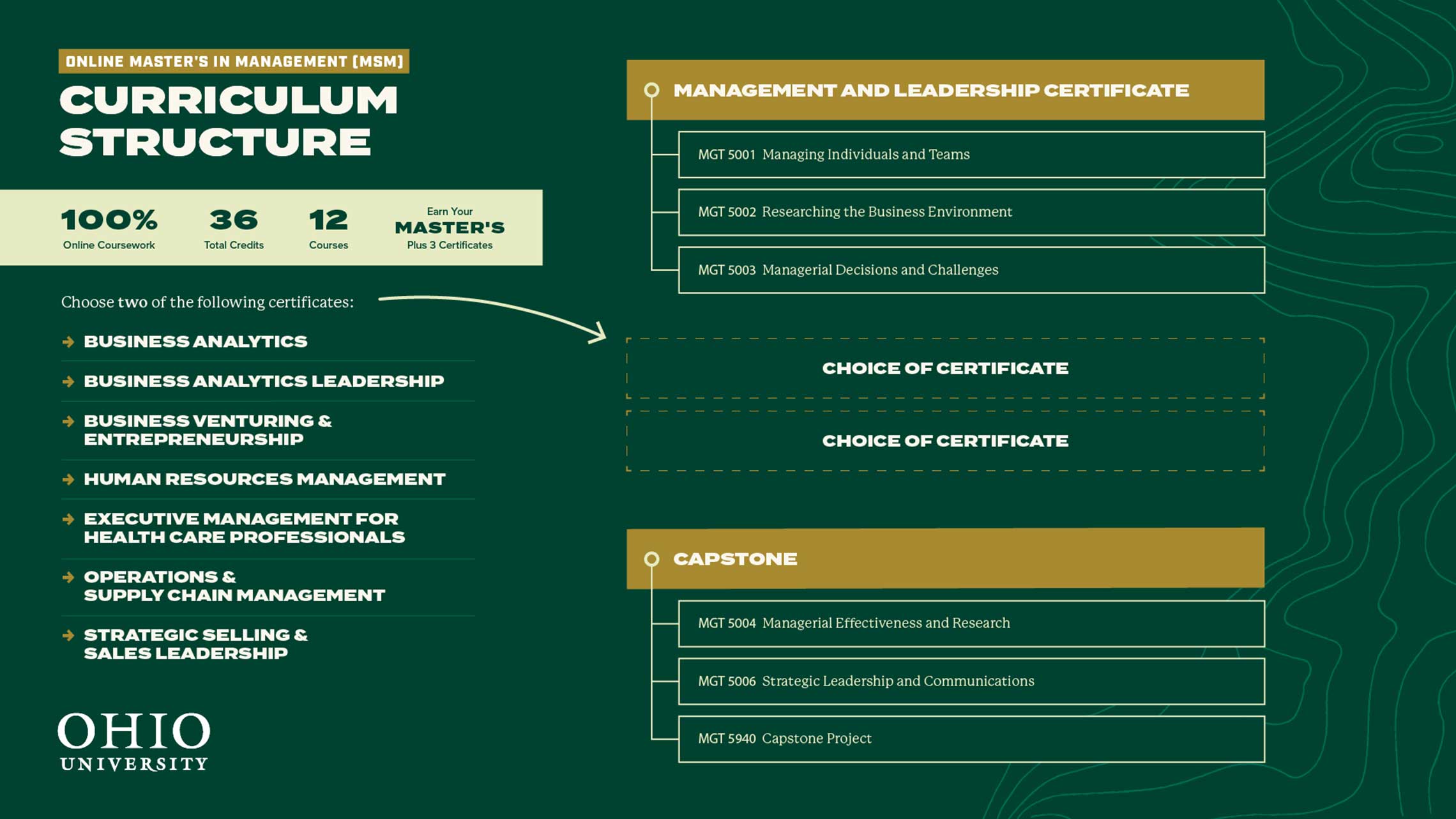 Online Master's in Management Curriculum Structure