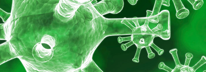 Cell, Developmental & Microbiology Biology illustration