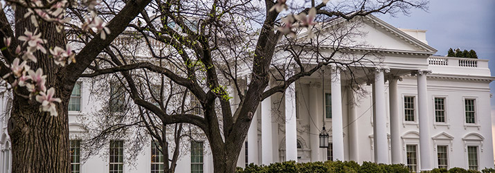 Executive Power and Politics--white house
