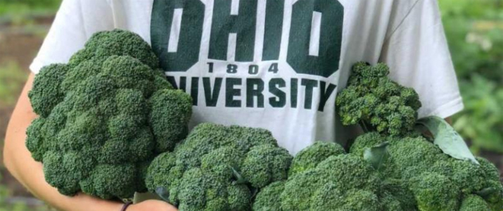 Students and faculty use the OHIO Student Farm for projects and research.