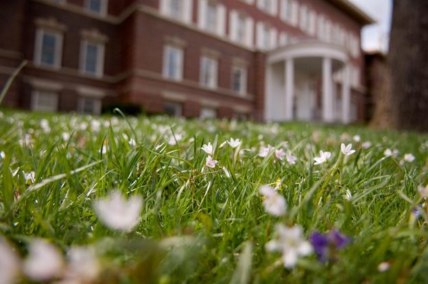 Ellis Hall in the spring