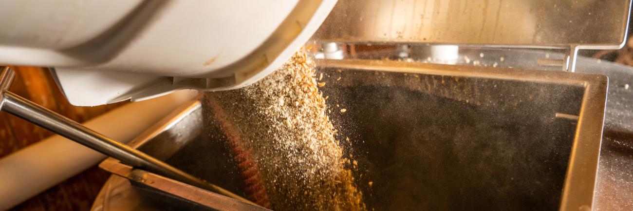 Grain being poured into brewing vat