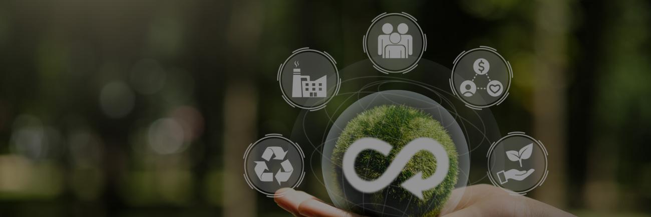 Juggling production, consumption, the environment and human decision making