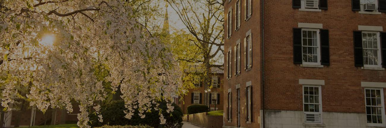 Wilson Hall in the blooming spring