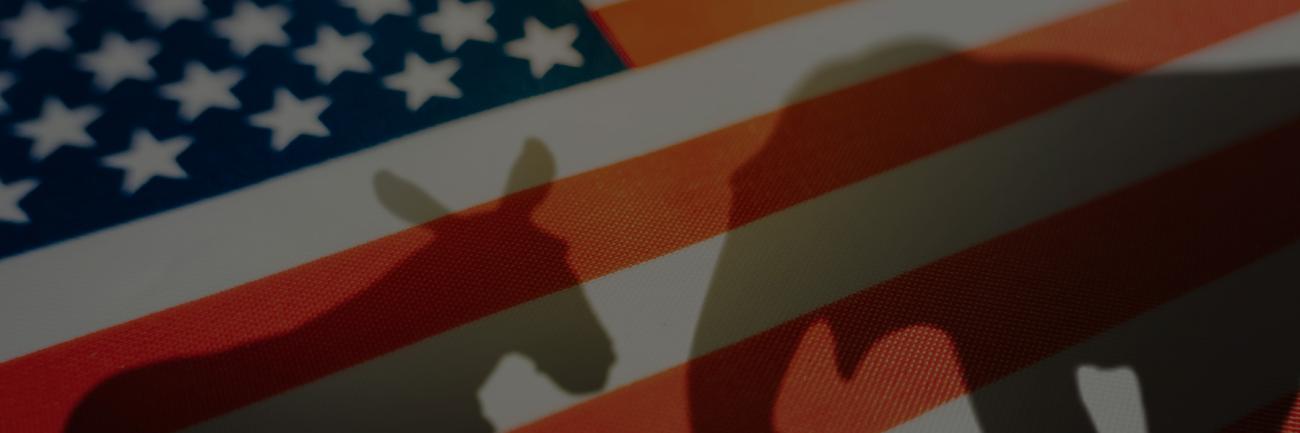 illustration with American flag and shadow images of donkey and elephant