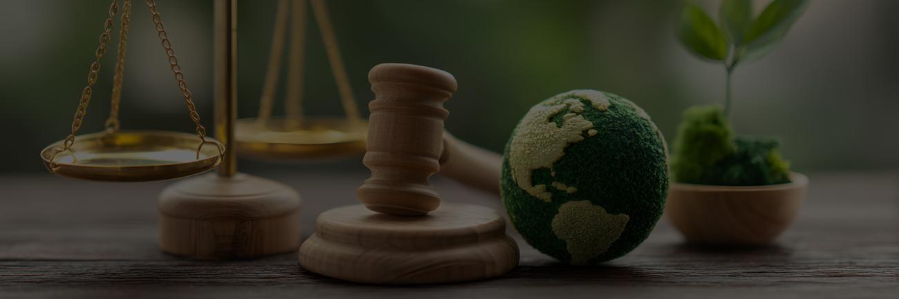 A scales, a judge's gavel, an Earth and small plant representing global environmental questions