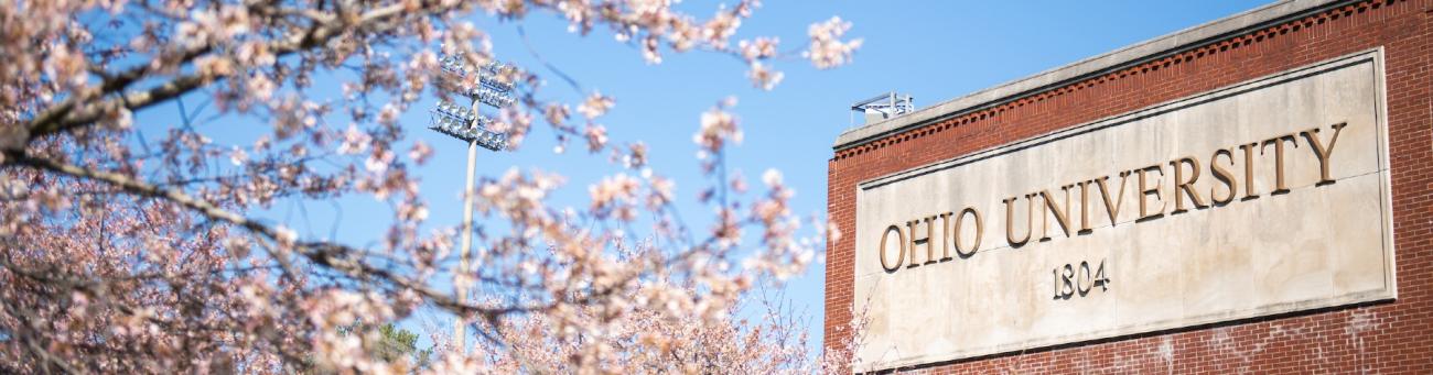 Cherry Blossoms in front of Ohio University sign