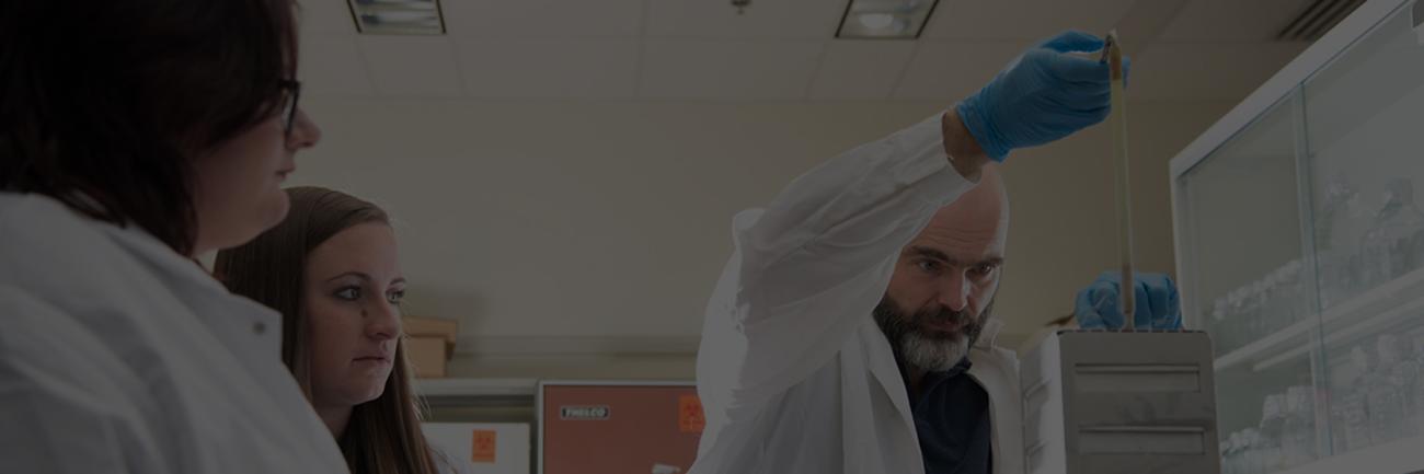 Dr. Ronan Carroll lab at Ohio University