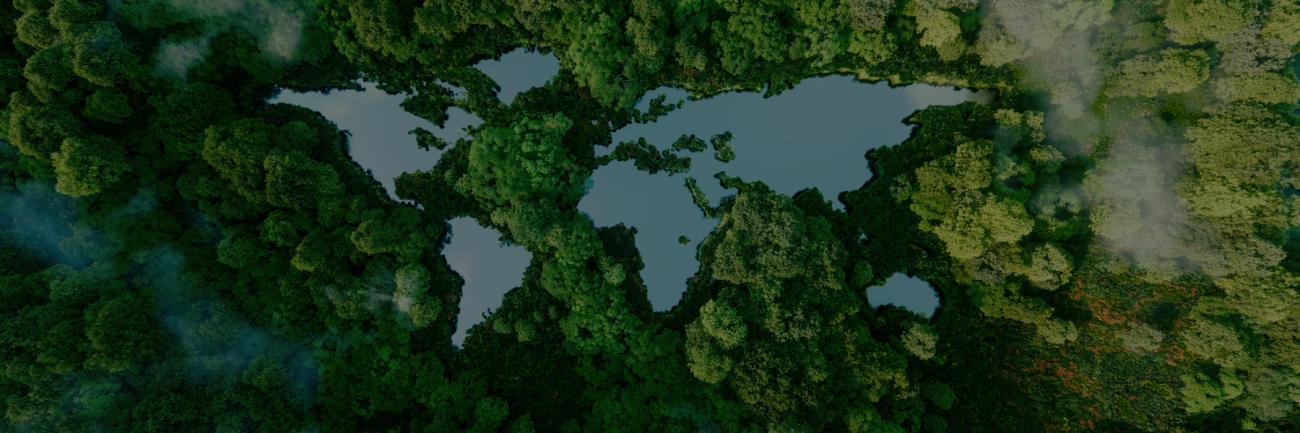 A global map sunk into a forest of trees
