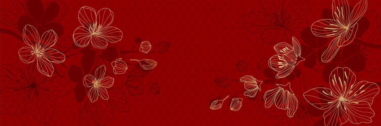 Illustration with Chinese sakura flower