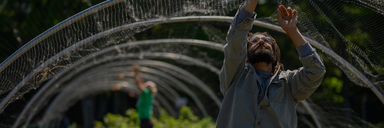 Students work at the OHIO Student Farm
