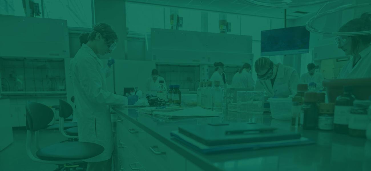 Chemistry students work in a lab together
