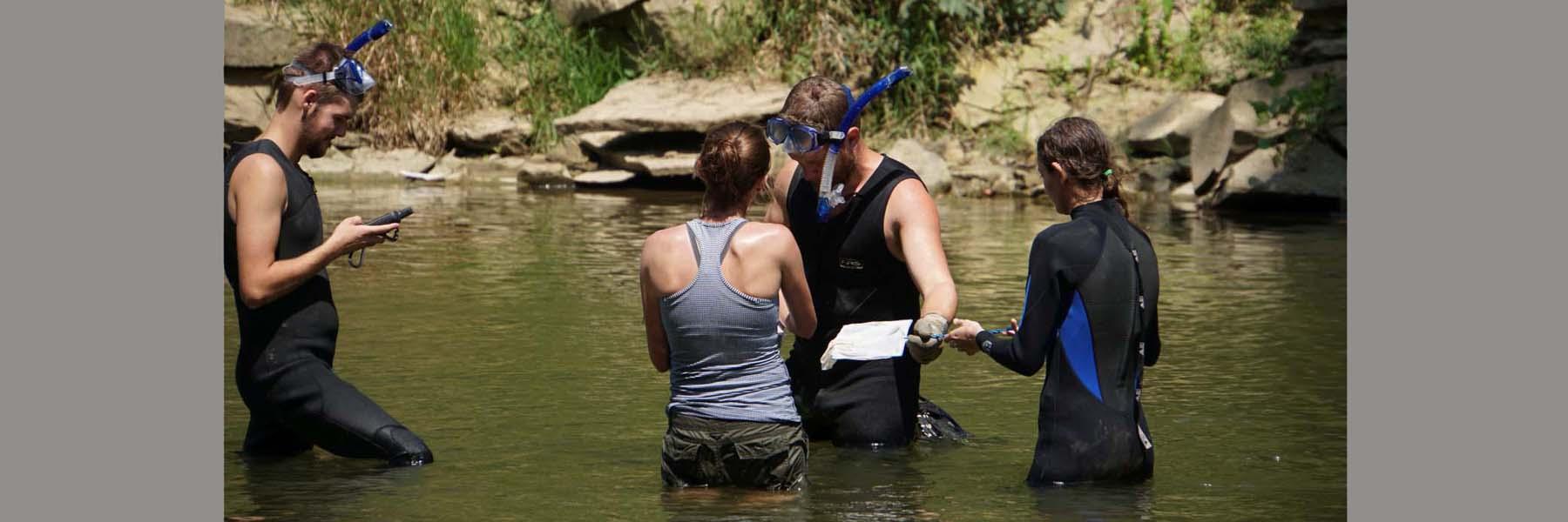 Biology students looking for hellbenders in river