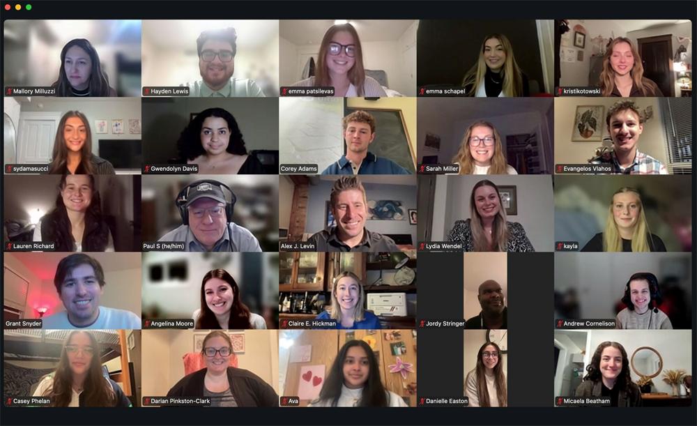 screenshot of online group mentoring