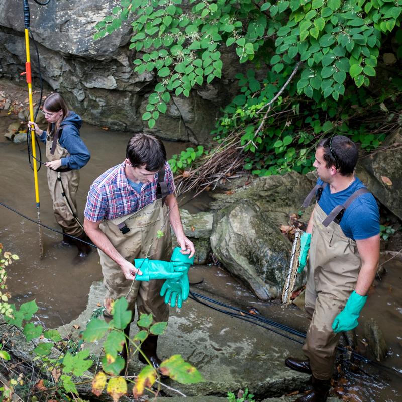 Aquatic biology class at Coates Run