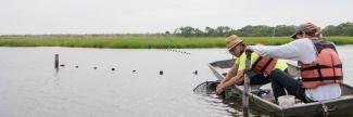 students studying terrapins in the Chesapeake Bay