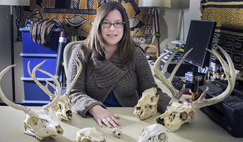 What is a dissertation image