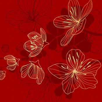 Illustration with Chinese sakura flower