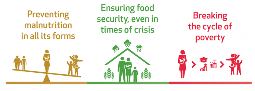Preventing malnutrition in all its forms; Ensuring food security, even in times of crisis; Breaking the cyle of poverty