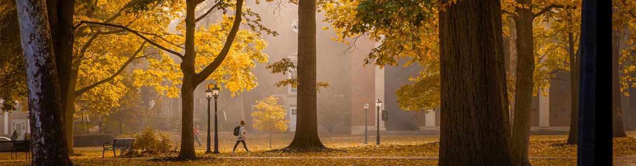 A student walks through College Green on a foggy morning.