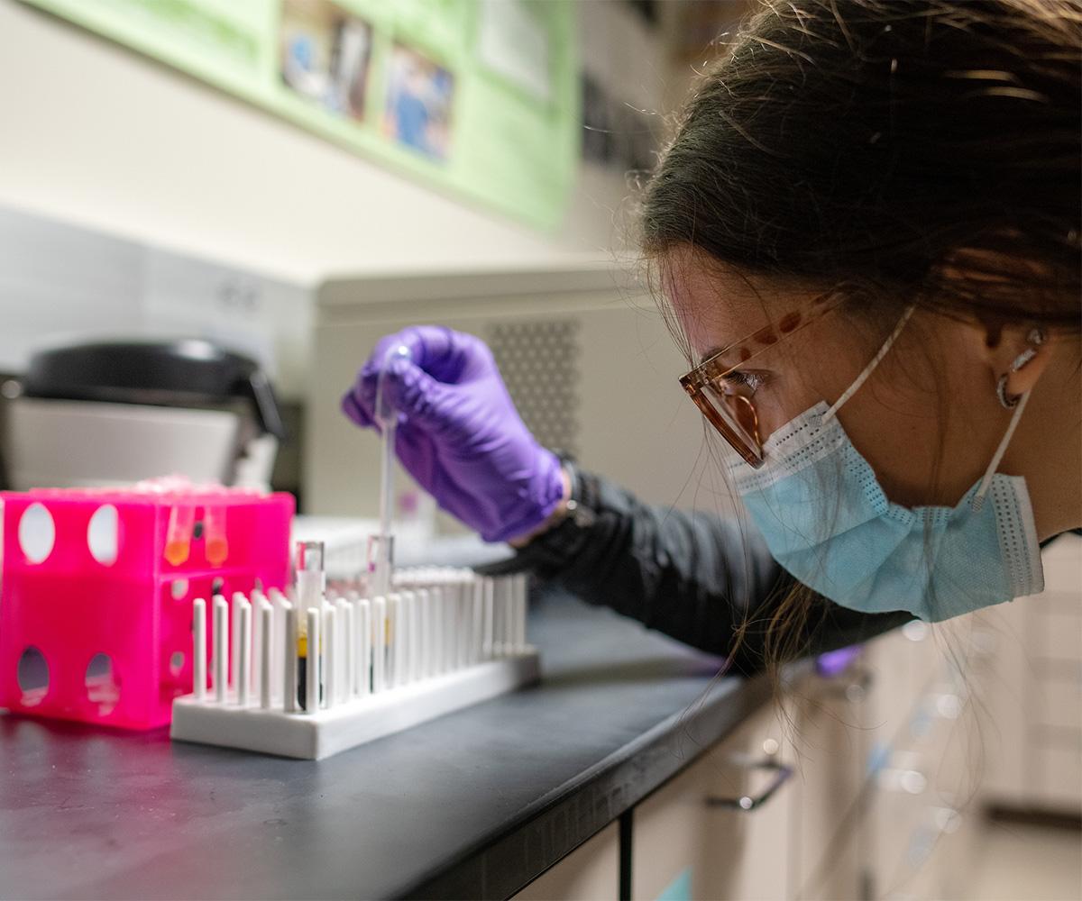 A student tests a sample in the laboratory.