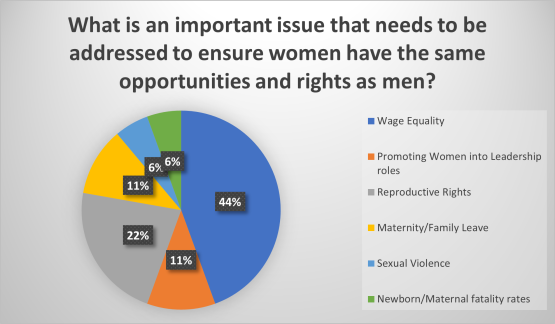 What is an important issues that needs to be addressed to ensure women have the same opportunities and rights as men?