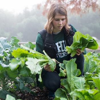 Ohio University student in the OHIO Student Farm