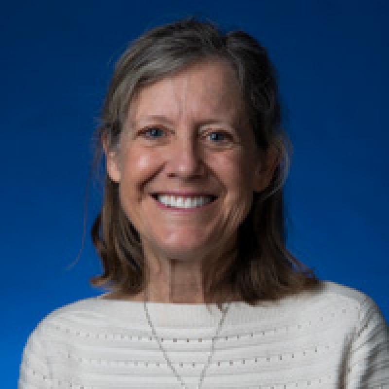 Lynn Petrik